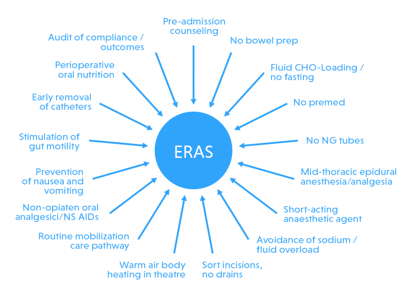 Alle elementen die bijdragen aan ERAS gevisualiseerd. 